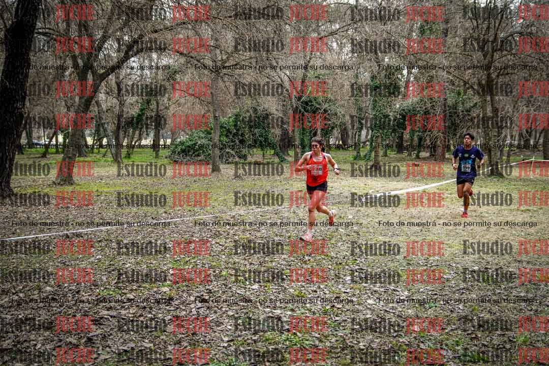 Fotos en el circuito