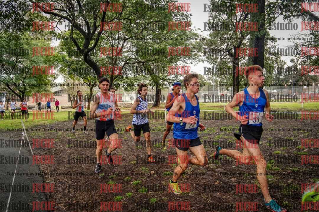 Fotos en el circuito