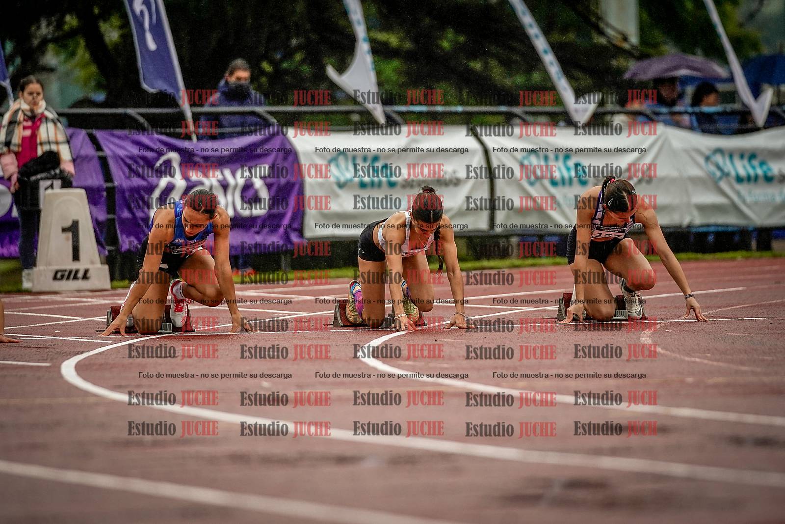 Fotos de los 100 m llanos de mujeres - FINAL