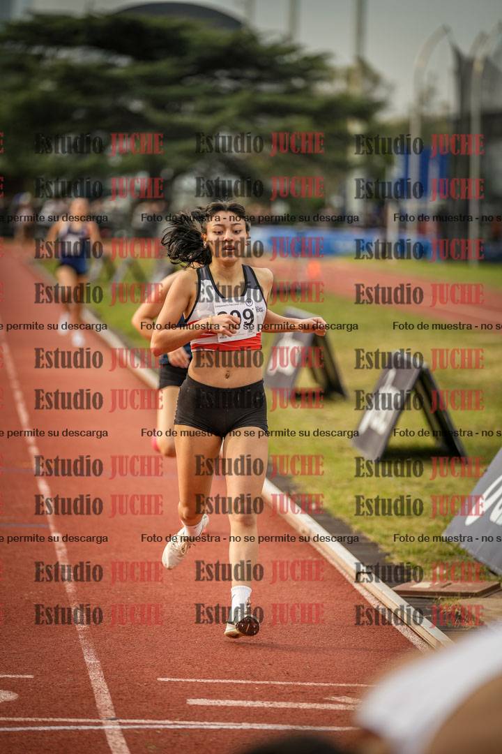 Fotos de los 1500 m llanos de mujeres