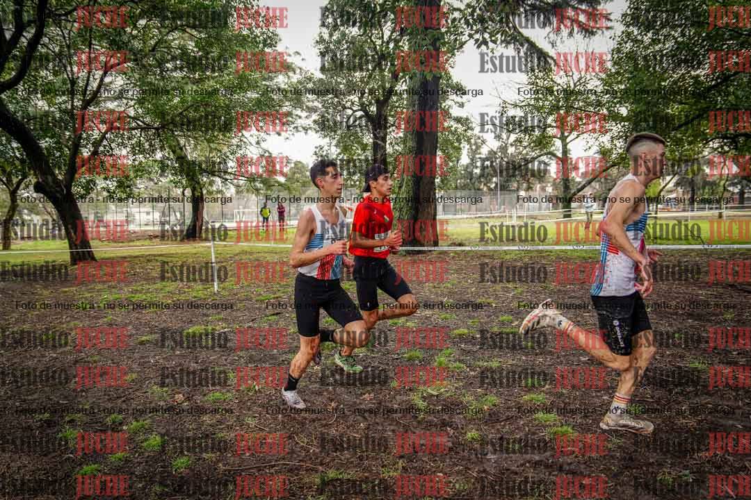 Fotos en el circuito