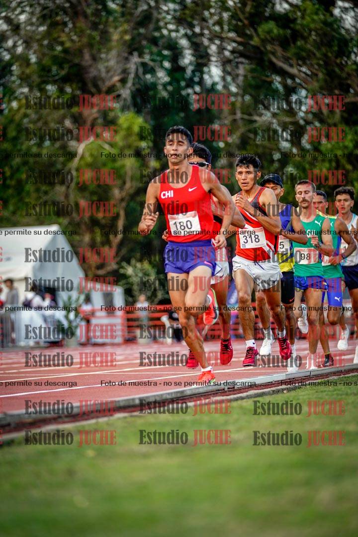 Fotos de los 10.000 m llanos de varones