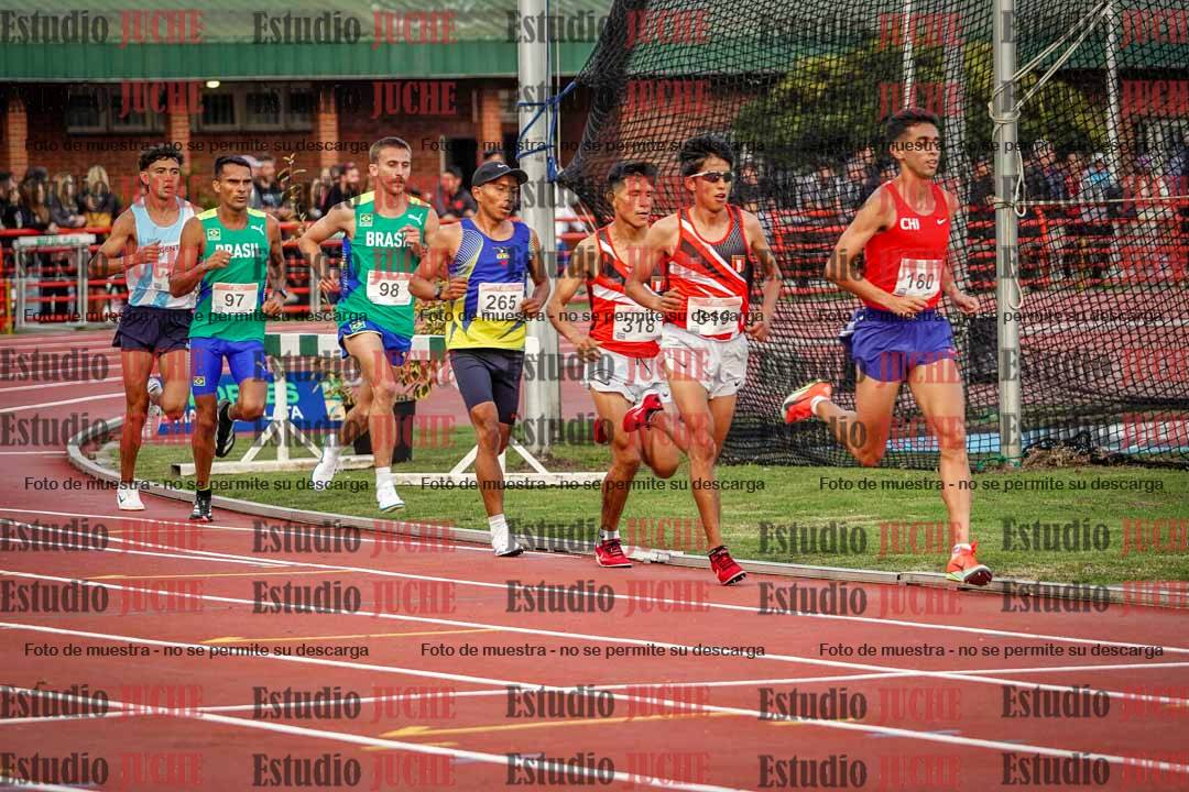 Fotos de los 10.000 m llanos de varones