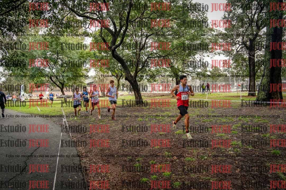 Fotos en el circuito