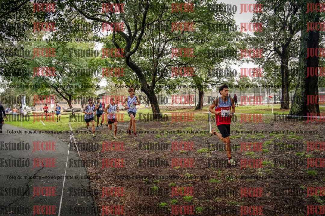 Fotos en el circuito