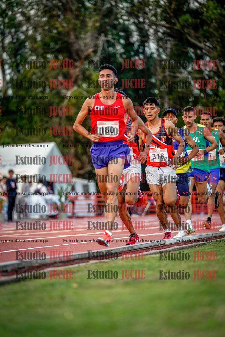 Fotos de los 10.000 m llanos de varones