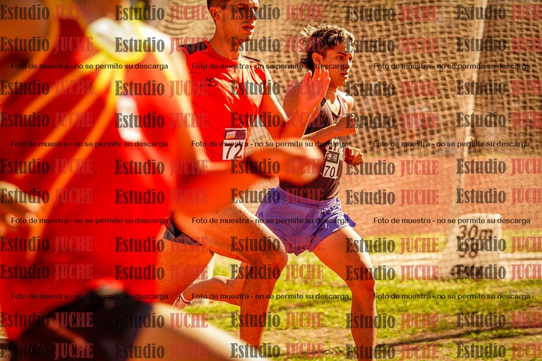 Fotos de los 800 m llanos de varones