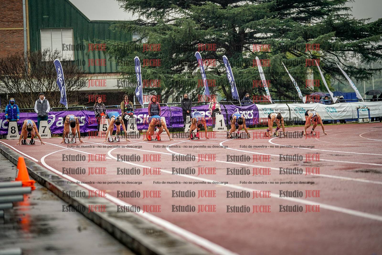 Fotos de los 100 m llanos de mujeres - FINAL