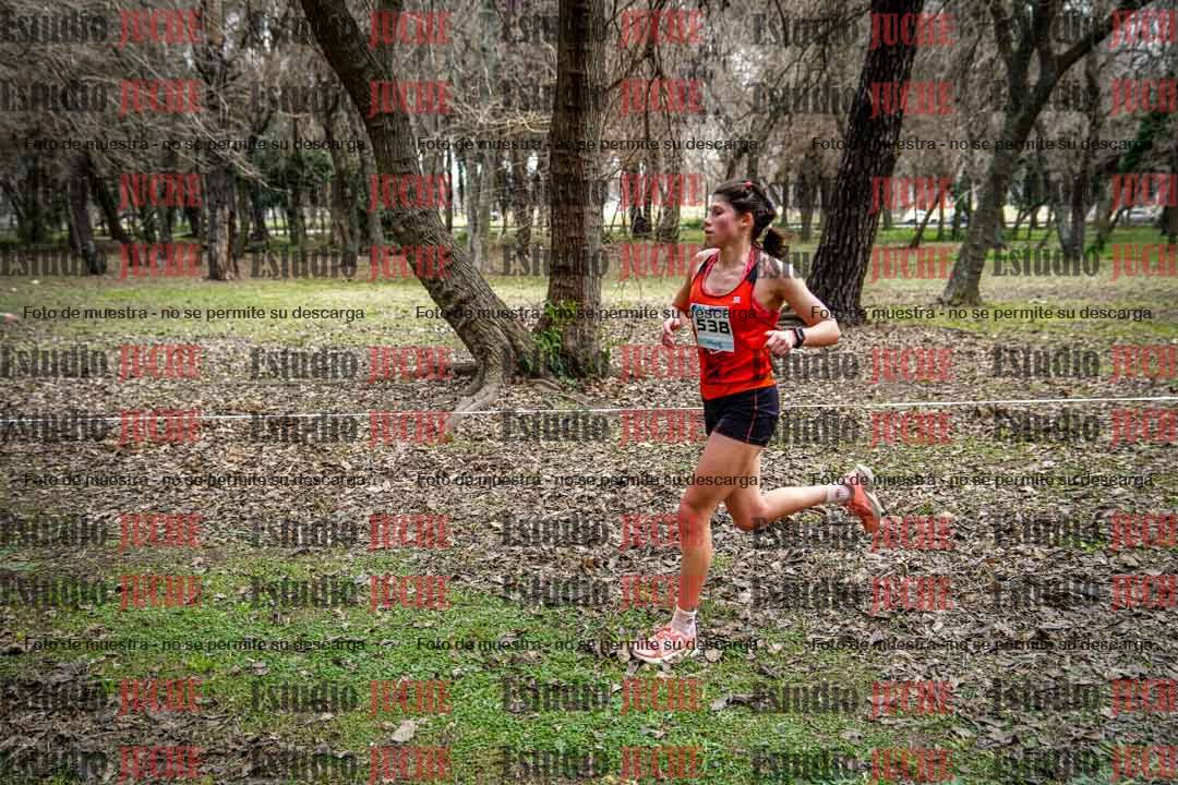 Fotos en el circuito