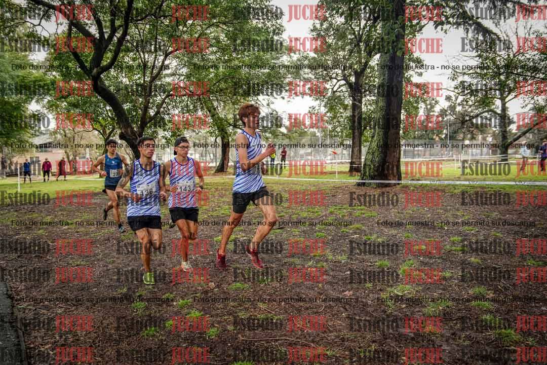 Fotos en el circuito