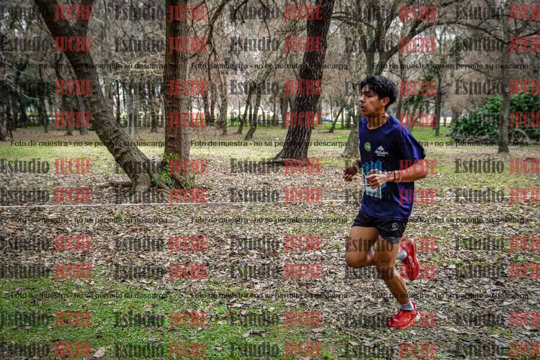 Fotos en el circuito
