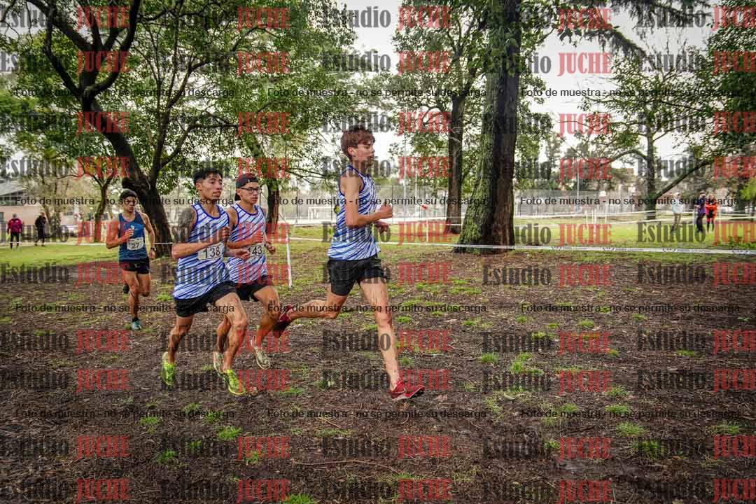 Fotos en el circuito