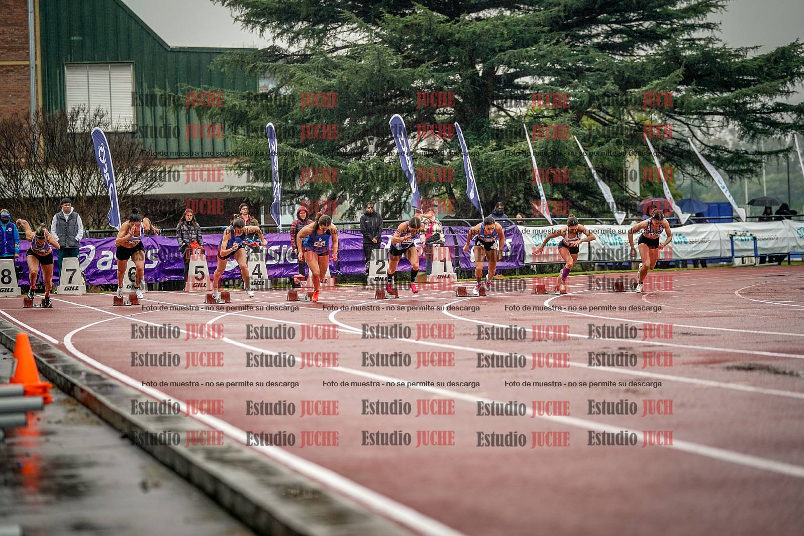 Fotos de los 100 m llanos de mujeres - FINAL