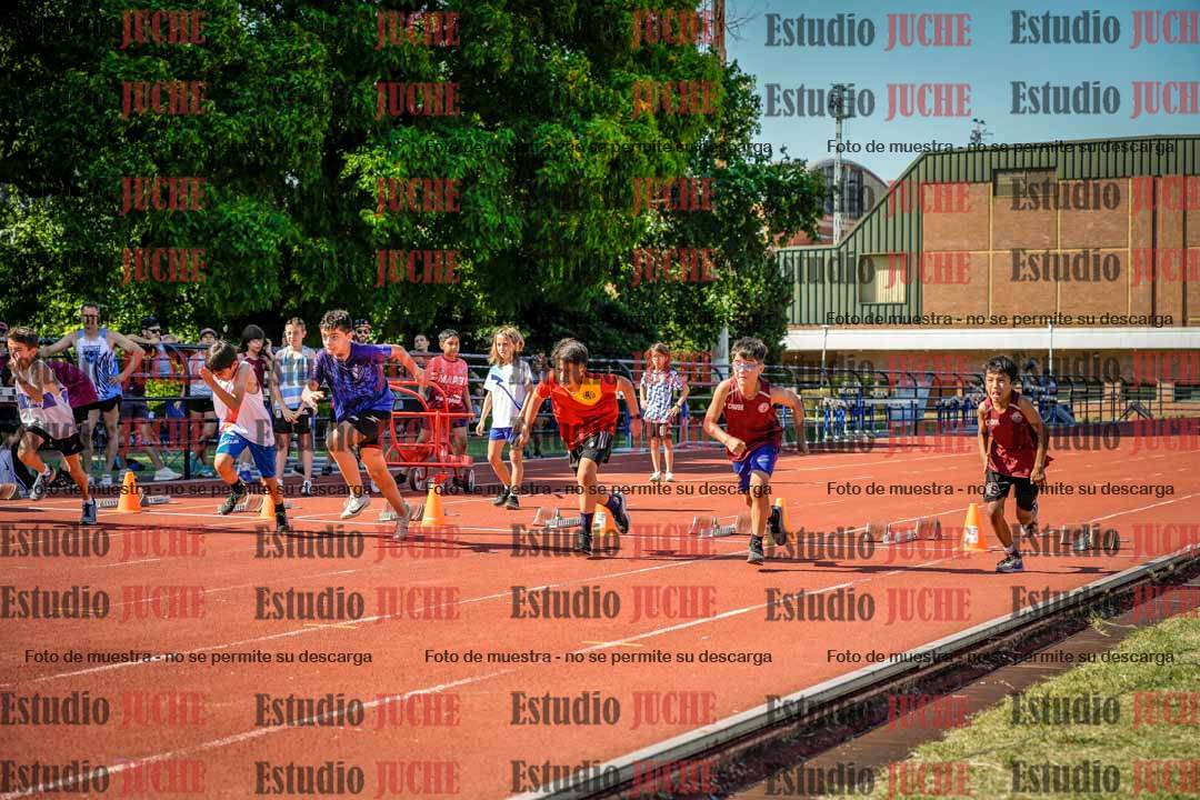 Fotos de los 50 m llanos de varones