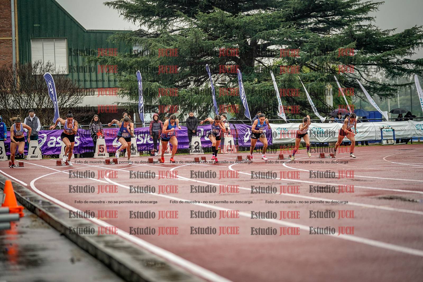 Fotos de los 100 m llanos de mujeres - FINAL