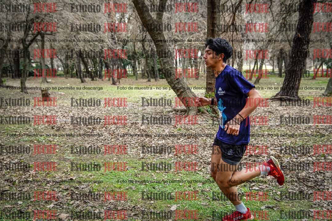Fotos en el circuito