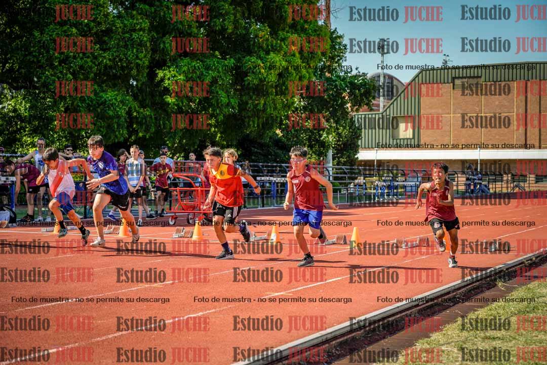 Fotos de los 50 m llanos de varones