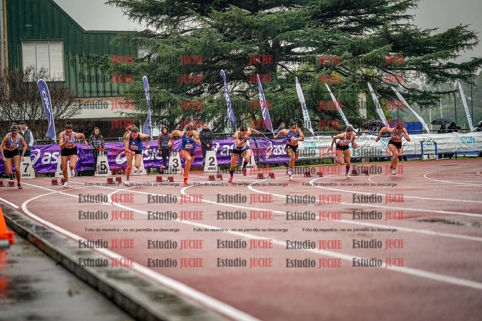 Fotos de los 100 m llanos de mujeres - FINAL
