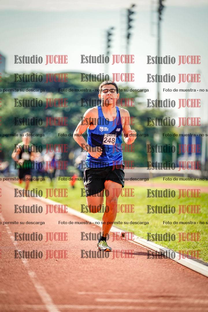 Fotos de los 800 m llanos de varones