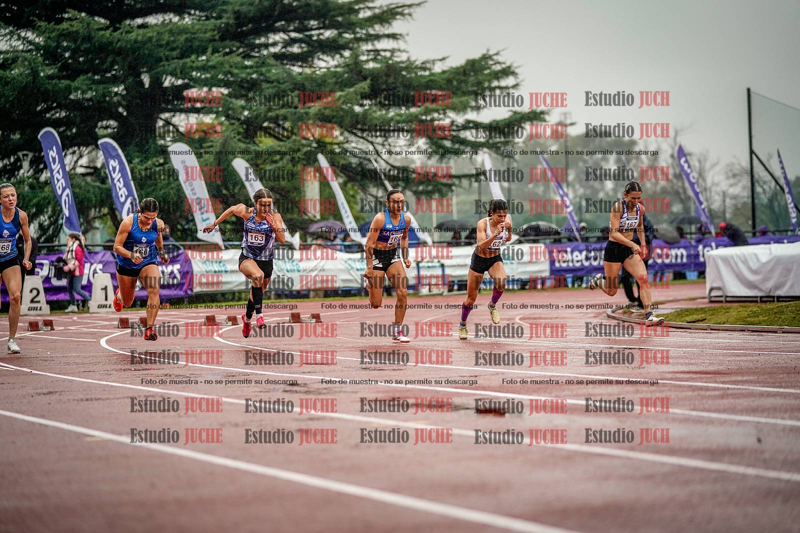 Fotos de los 100 m llanos de mujeres - FINAL
