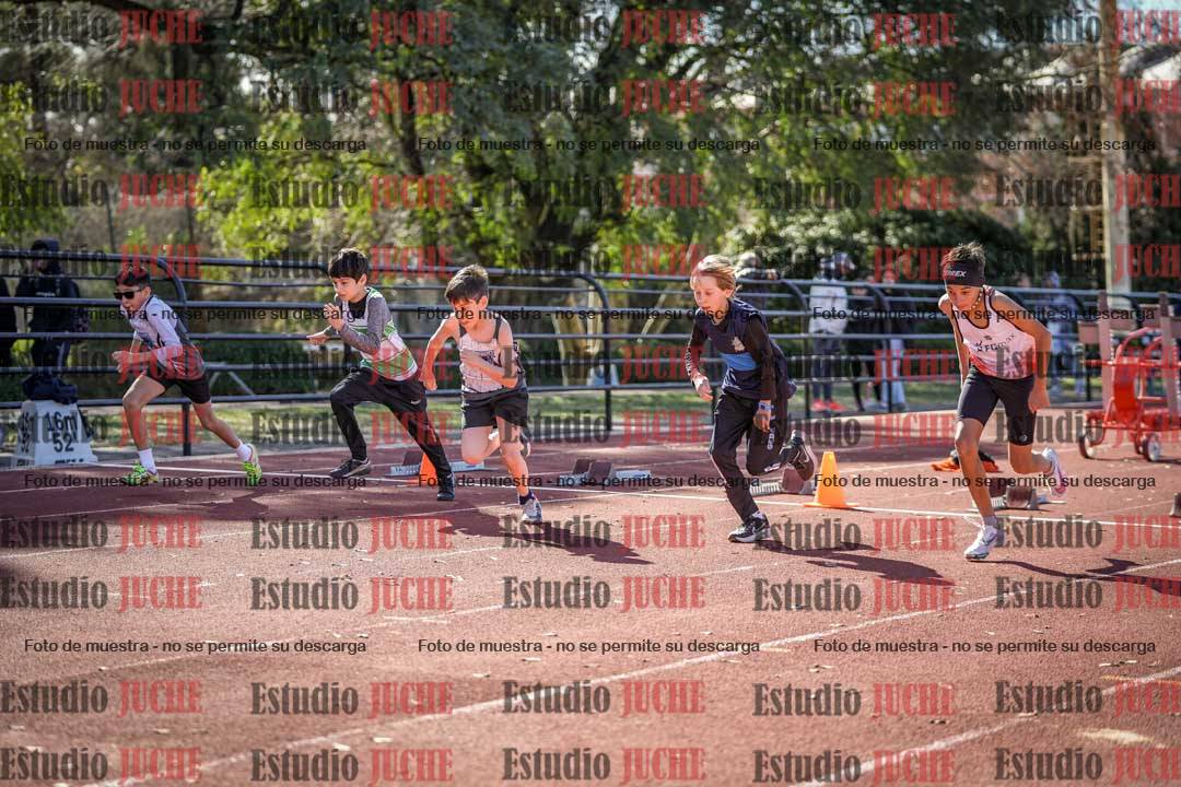 Fotos de los 50 m llanos de varones