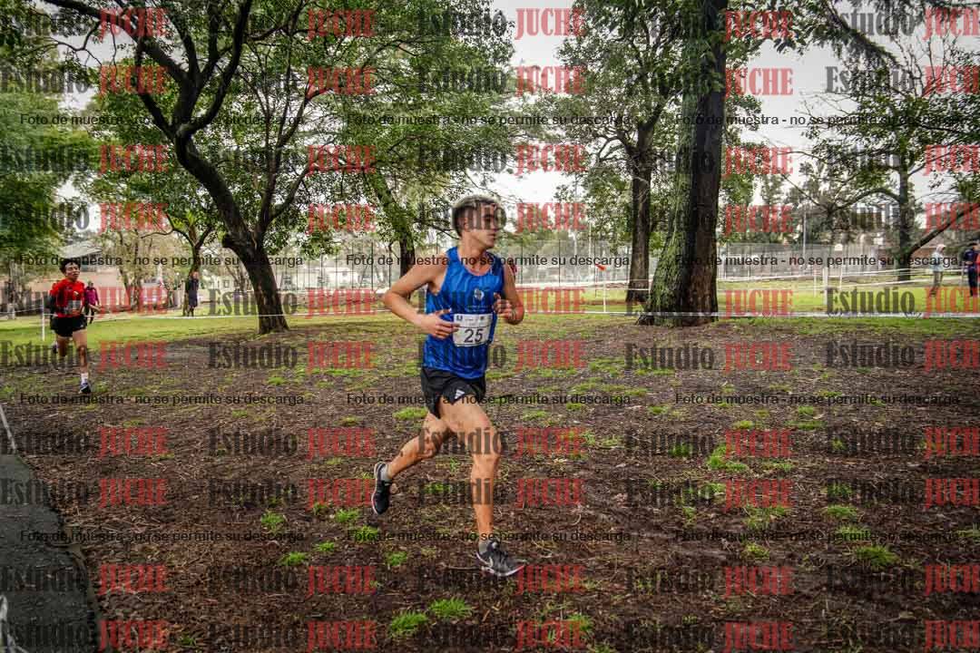 Fotos en el circuito