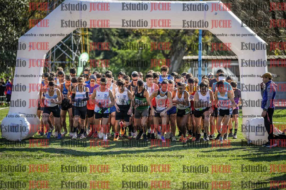 Fotos en de la largada