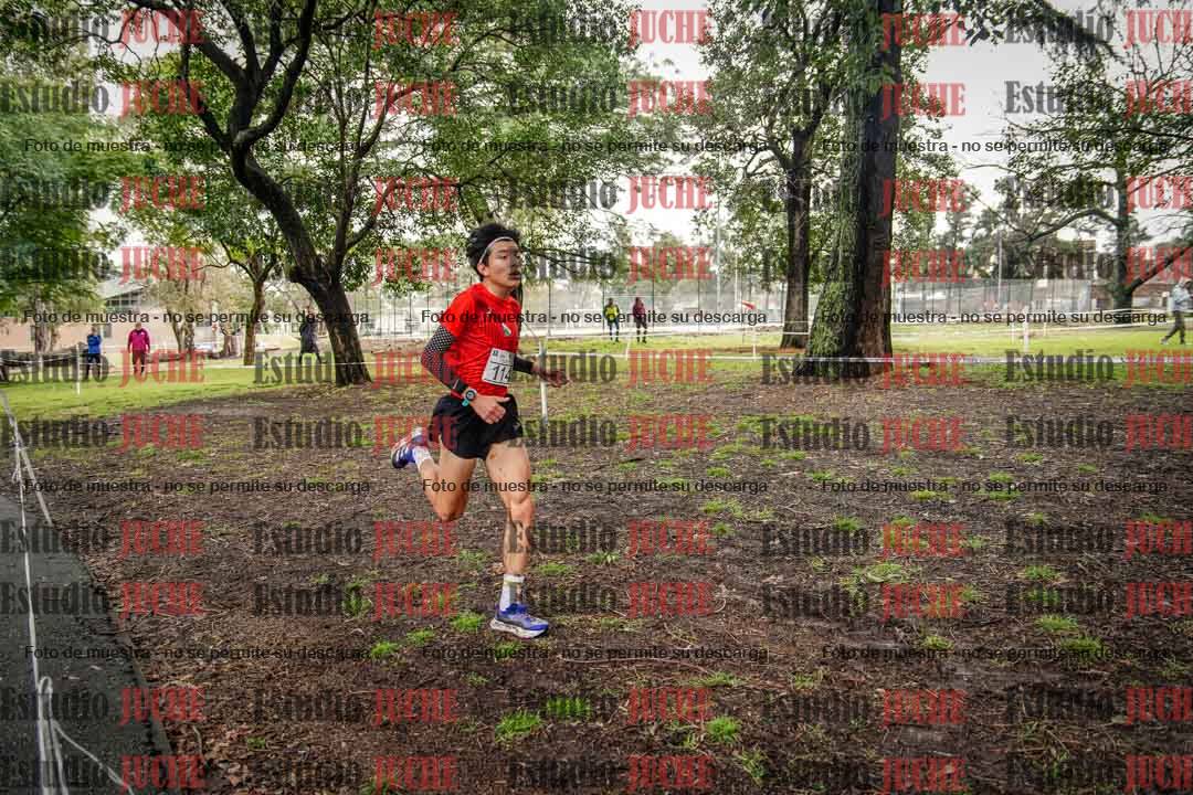 Fotos en el circuito