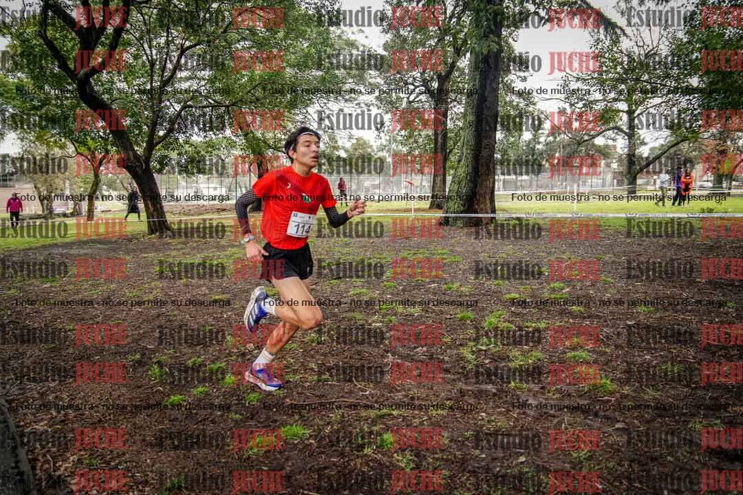 Fotos en el circuito