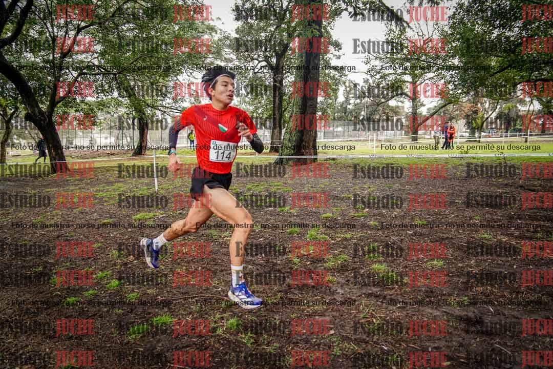Fotos en el circuito