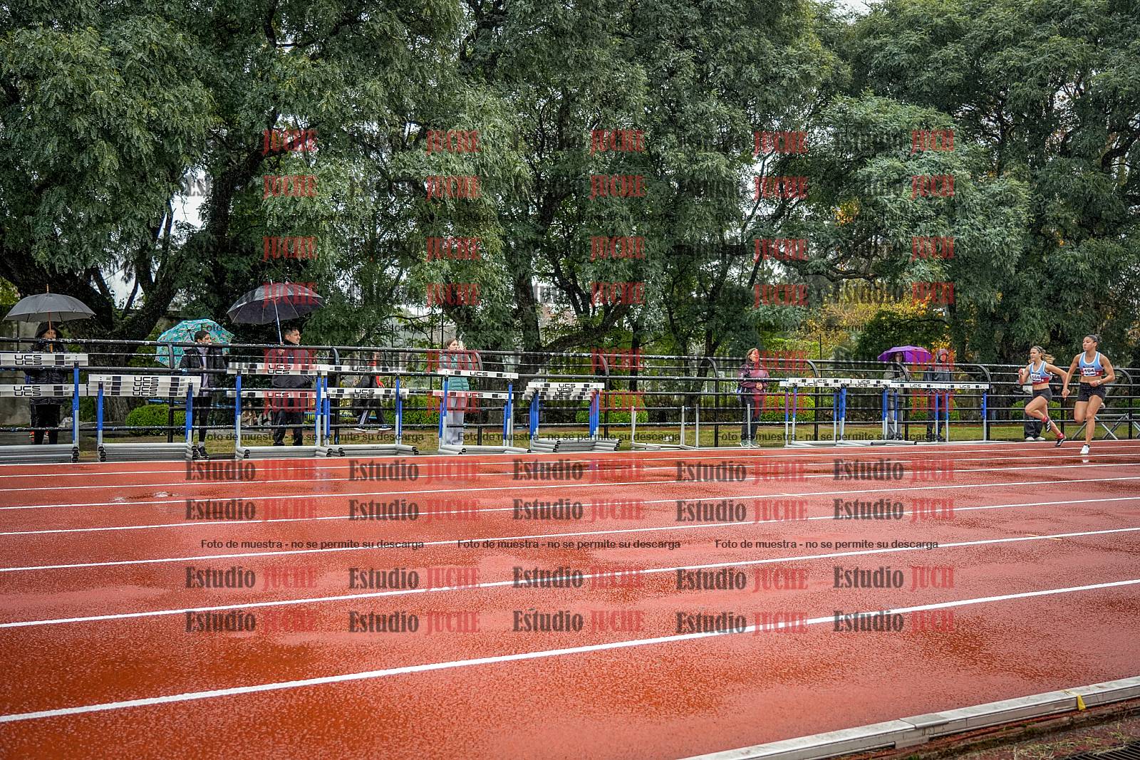 Fotos de los 100 m llanos de mujeres - FINAL