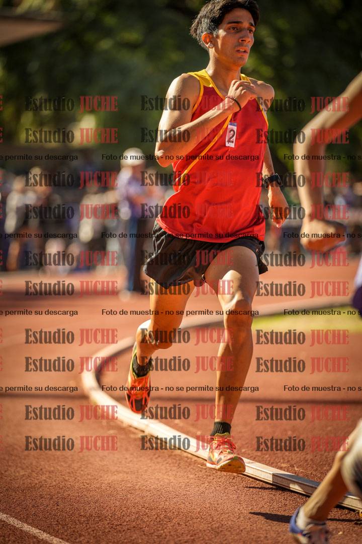 Fotos de los 800 m llanos de varones