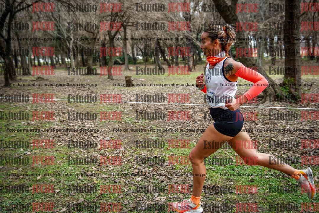 Fotos en el circuito