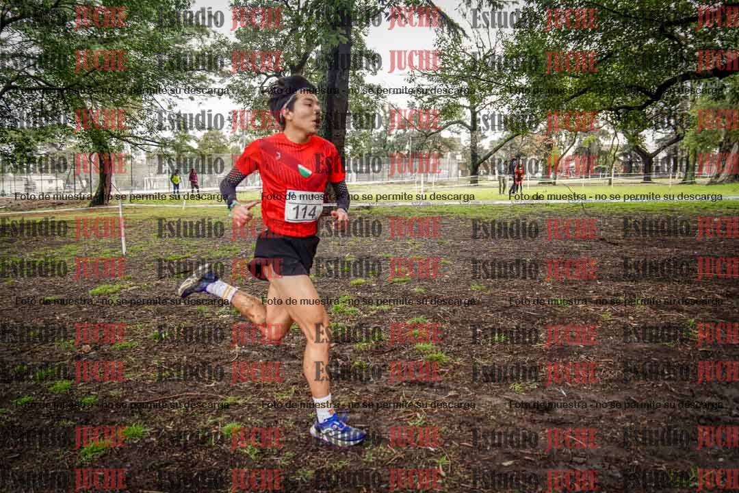 Fotos en el circuito