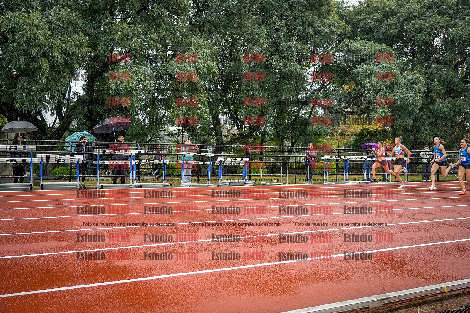Fotos de los 100 m llanos de mujeres - FINAL