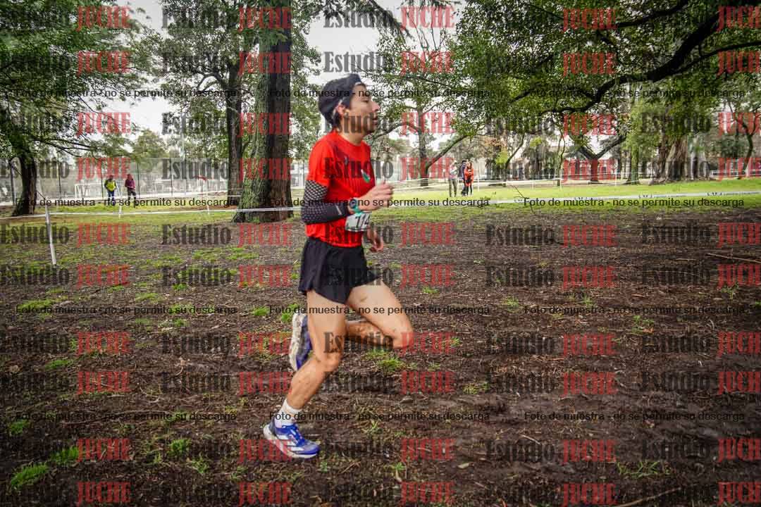 Fotos en el circuito