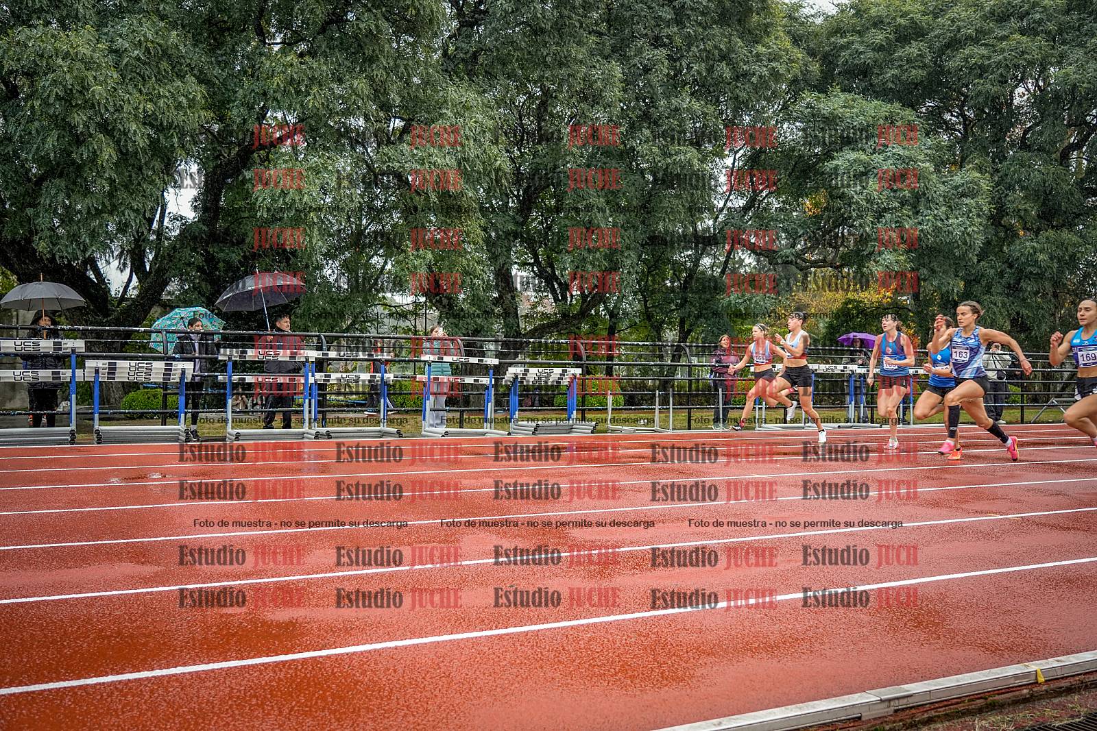 Fotos de los 100 m llanos de mujeres - FINAL