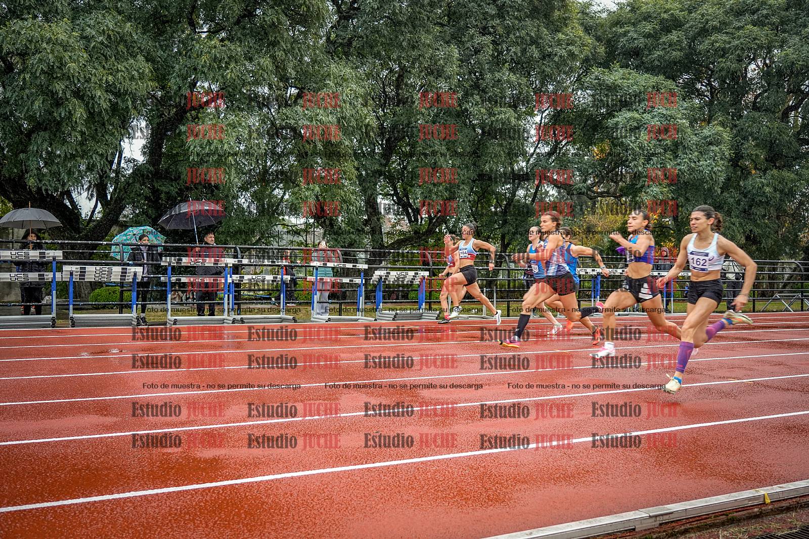 Fotos de los 100 m llanos de mujeres - FINAL