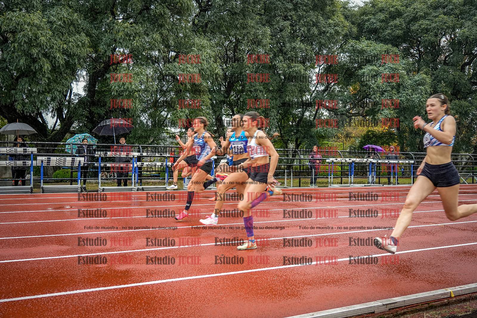 Fotos de los 100 m llanos de mujeres - FINAL