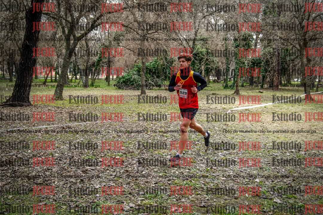 Fotos en el circuito