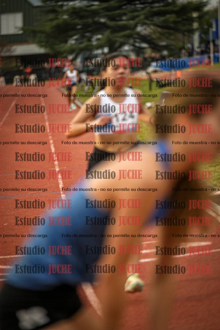 Fotos de los 1500 m llanos de mujeres