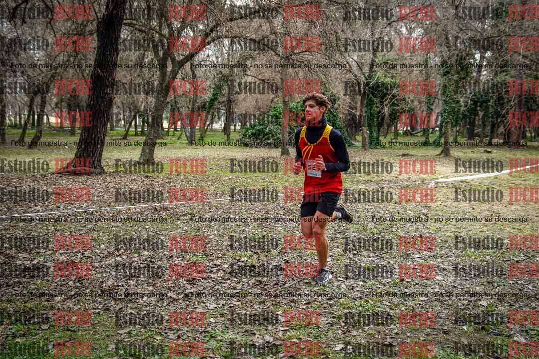 Fotos en el circuito
