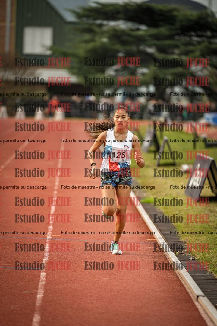 Fotos de los 1500 m llanos de mujeres