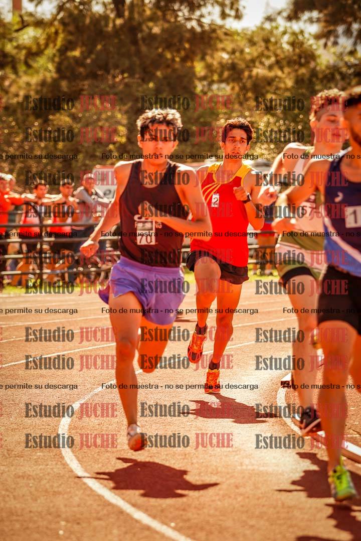 Fotos de los 800 m llanos de varones