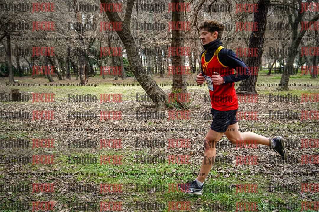 Fotos en el circuito