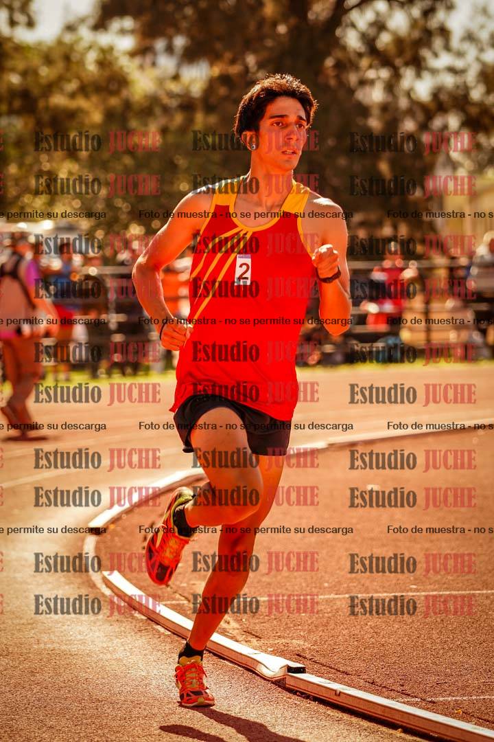 Fotos de los 800 m llanos de varones