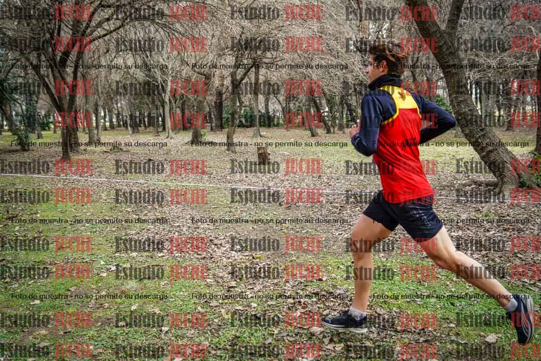 Fotos en el circuito