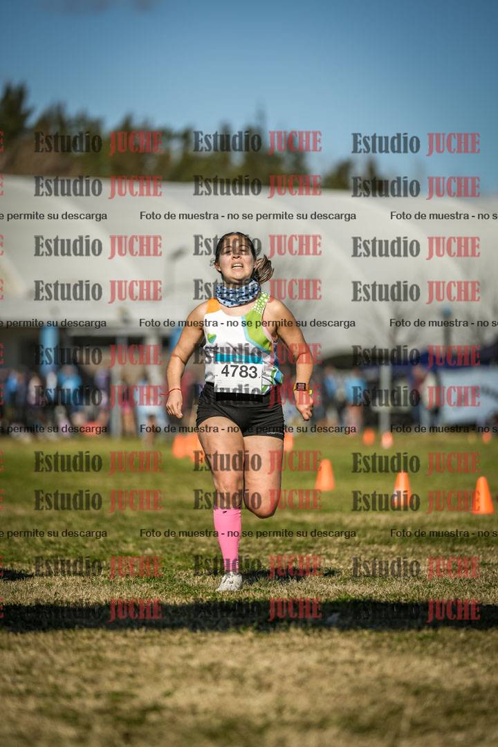 Fotos de las llegadas