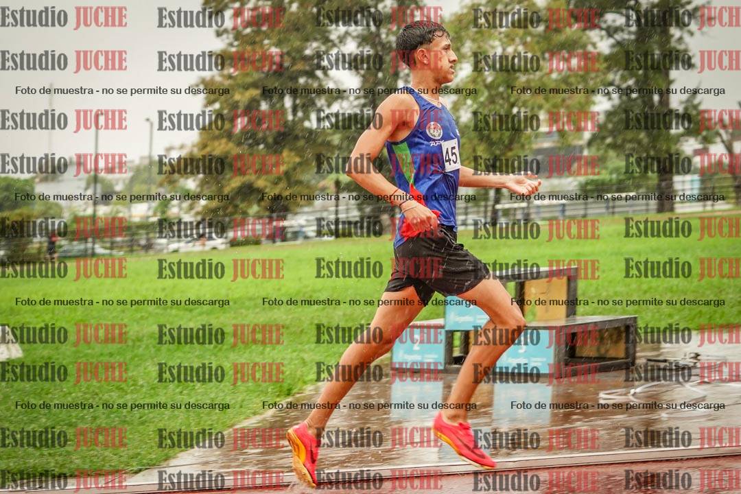 Fotos de los 800 m de varones