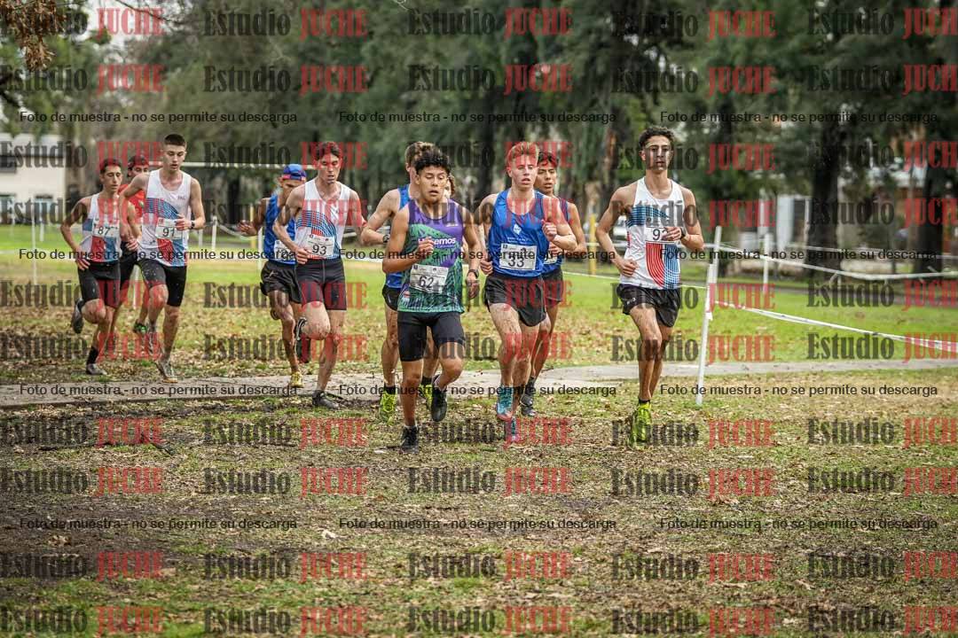 Fotos en el circuito
